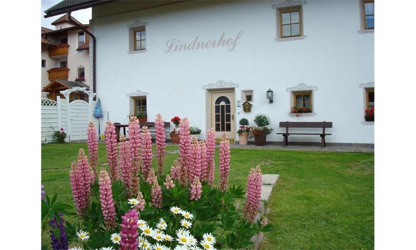 Lindnerhof Urlaub Am Bauernhof San Lorenzo di Sebato Exterior foto
